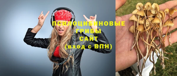 дурь Алексеевка